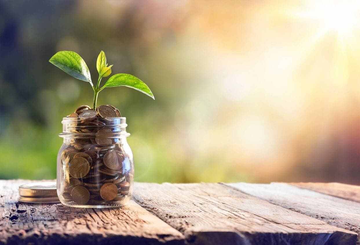 A small plant grows from a jar filled with coins, set on a wooden table with a blurred outdoor background.